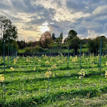 Huisxi ベッド・アンド・ブレックファスト Eys